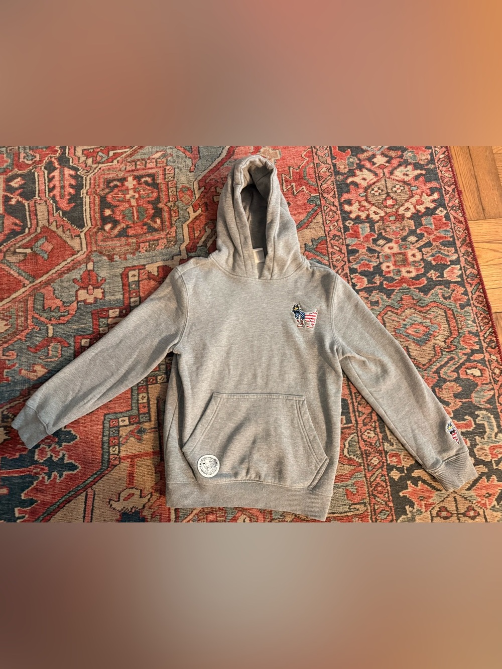 GOAT USA OG Hoodie Sweatshirt  Youth Medium Gray